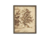 Vintage Framed Canvas Art // Framed Vintage Print // Vintage Painting // Botanical Sketch // Fall Tree//Farmhouse print //#BOT-167