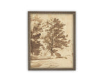 Vintage Framed Canvas Art // Framed Vintage Print // Vintage Painting // Botanical Sketch // Fall Tree//Farmhouse print //#BOT-167
