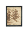 Vintage Framed Canvas Art // Framed Vintage Print // Vintage Painting // Botanical Sketch // Fall Tree//Farmhouse print //#BOT-167