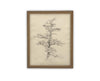 Vintage Framed Canvas Art // Framed Vintage Print // Vintage Painting // Botanical Tree Sketch // Neutral Minimalist print //#BOT-166