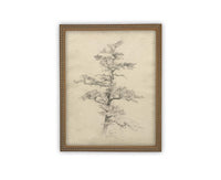 Vintage Framed Canvas Art // Framed Vintage Print // Vintage Painting // Botanical Tree Sketch // Neutral Minimalist print //#BOT-166