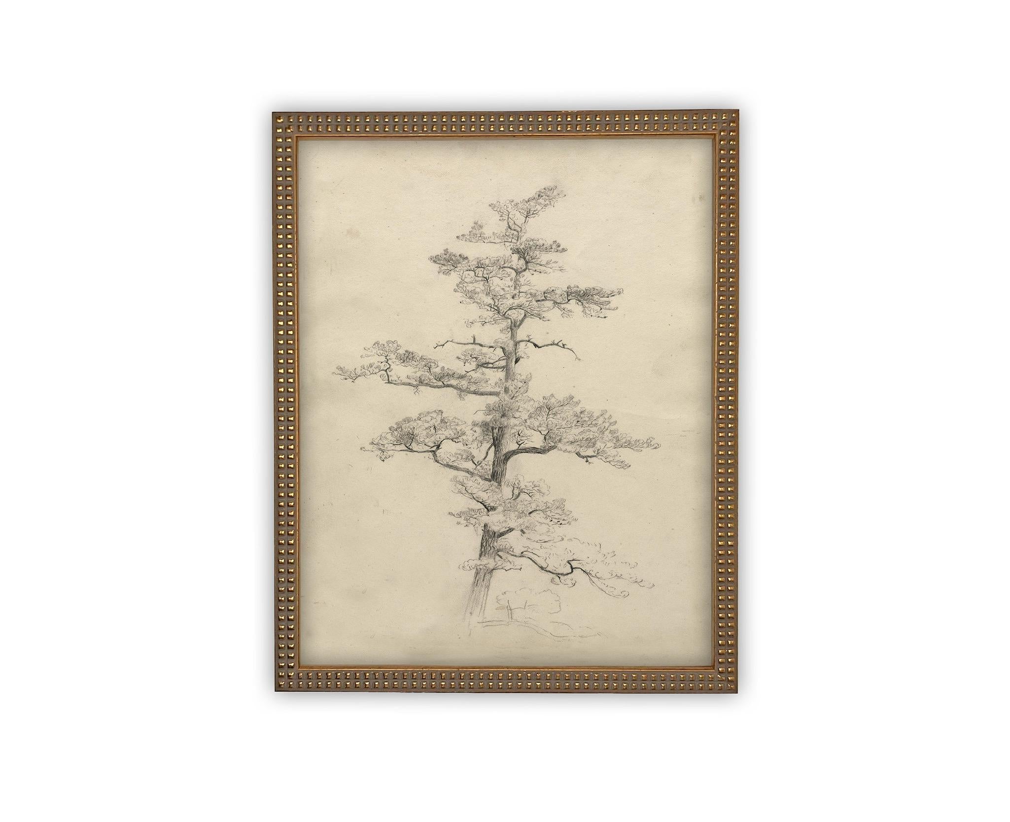 Vintage Framed Canvas Art // Framed Vintage Print // Vintage Painting // Botanical Tree Sketch // Neutral Minimalist print //#BOT-166