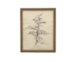 Vintage Framed Canvas Art // Framed Vintage Print // Vintage Painting // Botanical Tree Sketch // Neutral Minimalist print //#BOT-166