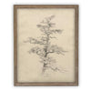 Vintage Framed Canvas Art // Framed Vintage Print // Vintage Painting // Botanical Tree Sketch // Neutral Minimalist print //#BOT-166