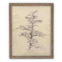 Vintage Framed Canvas Art // Framed Vintage Print // Vintage Painting // Botanical Tree Sketch // Neutral Minimalist print //#BOT-166