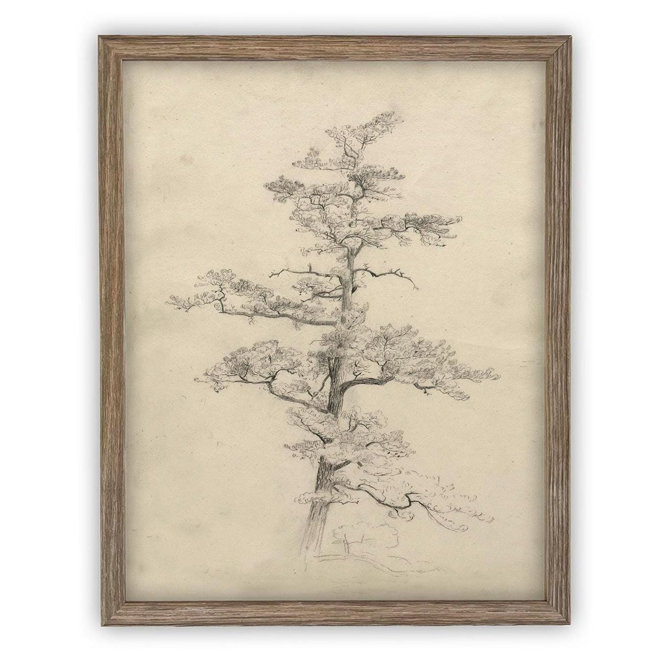 Vintage Framed Canvas Art // Framed Vintage Print // Vintage Painting // Botanical Tree Sketch // Neutral Minimalist print //#BOT-166