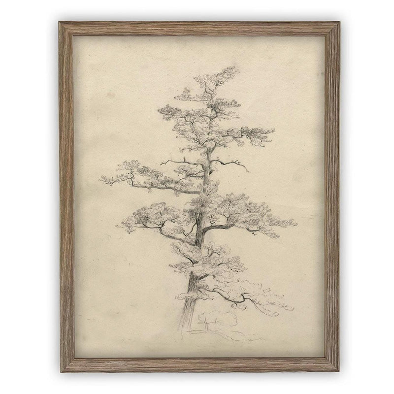 Vintage Framed Canvas Art // Framed Vintage Print // Vintage Painting // Botanical Tree Sketch // Neutral Minimalist print //#BOT-166