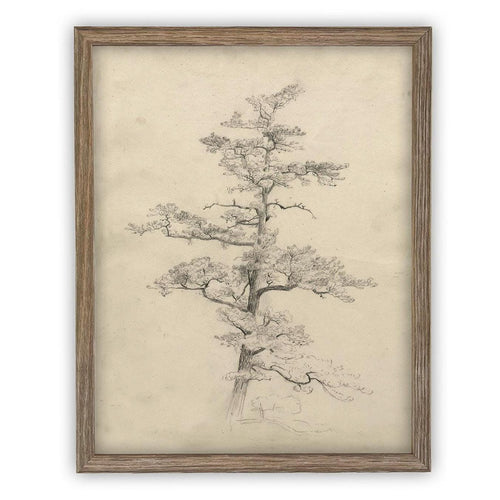 Vintage Framed Canvas Art // Framed Vintage Print // Vintage Painting // Botanical Tree Sketch // Neutral Minimalist print //#BOT-166