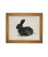 Vintage Framed Canvas Art // Framed Vintage Print // Vintage Black Bunny Rabbit Sketch // Easter Drawing // Farmhouse print //#A-188