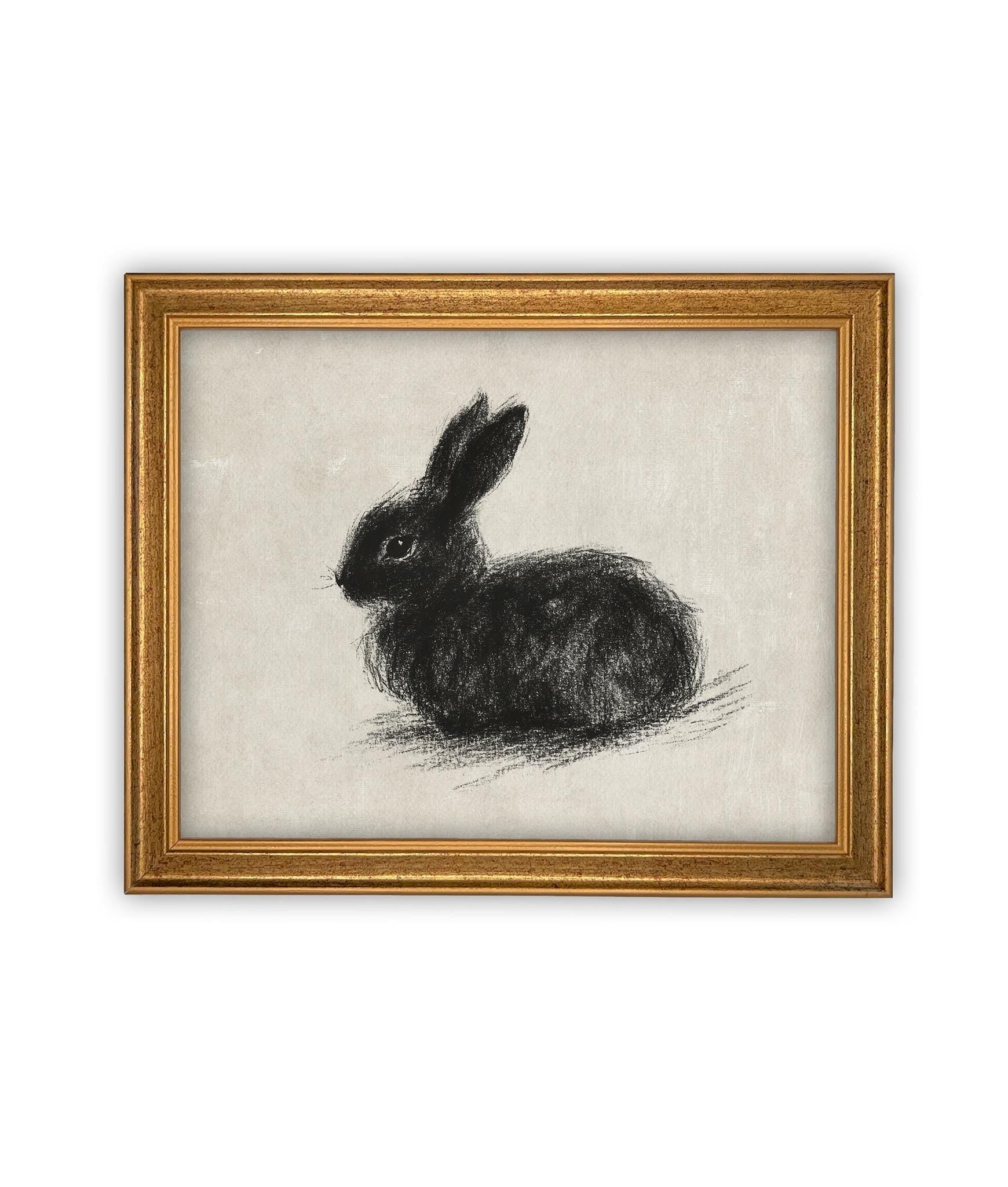 Vintage Framed Canvas Art // Framed Vintage Print // Vintage Black Bunny Rabbit Sketch // Easter Drawing // Farmhouse print //#A-188