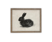 Vintage Framed Canvas Art // Framed Vintage Print // Vintage Black Bunny Rabbit Sketch // Easter Drawing // Farmhouse print //#A-188