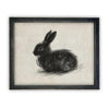 Vintage Framed Canvas Art // Framed Vintage Print // Vintage Black Bunny Rabbit Sketch // Easter Drawing // Farmhouse print //#A-188