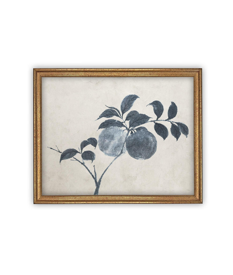 Vintage Framed Canvas Art // Framed Vintage Floral Print // Vintage Apple Branch Painting // Still Life Botanical Cottage print //#BOT-163