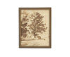 Vintage Framed Canvas Art // Framed Vintage Print // Vintage Painting // Botanical Sketch // Fall Tree//Farmhouse print //#BOT-167