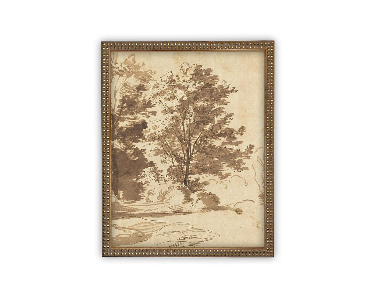 Vintage Framed Canvas Art // Framed Vintage Print // Vintage Painting // Botanical Sketch // Fall Tree//Farmhouse print //#BOT-167