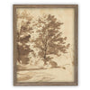 Vintage Framed Canvas Art // Framed Vintage Print // Vintage Painting // Botanical Sketch // Fall Tree//Farmhouse print //#BOT-167