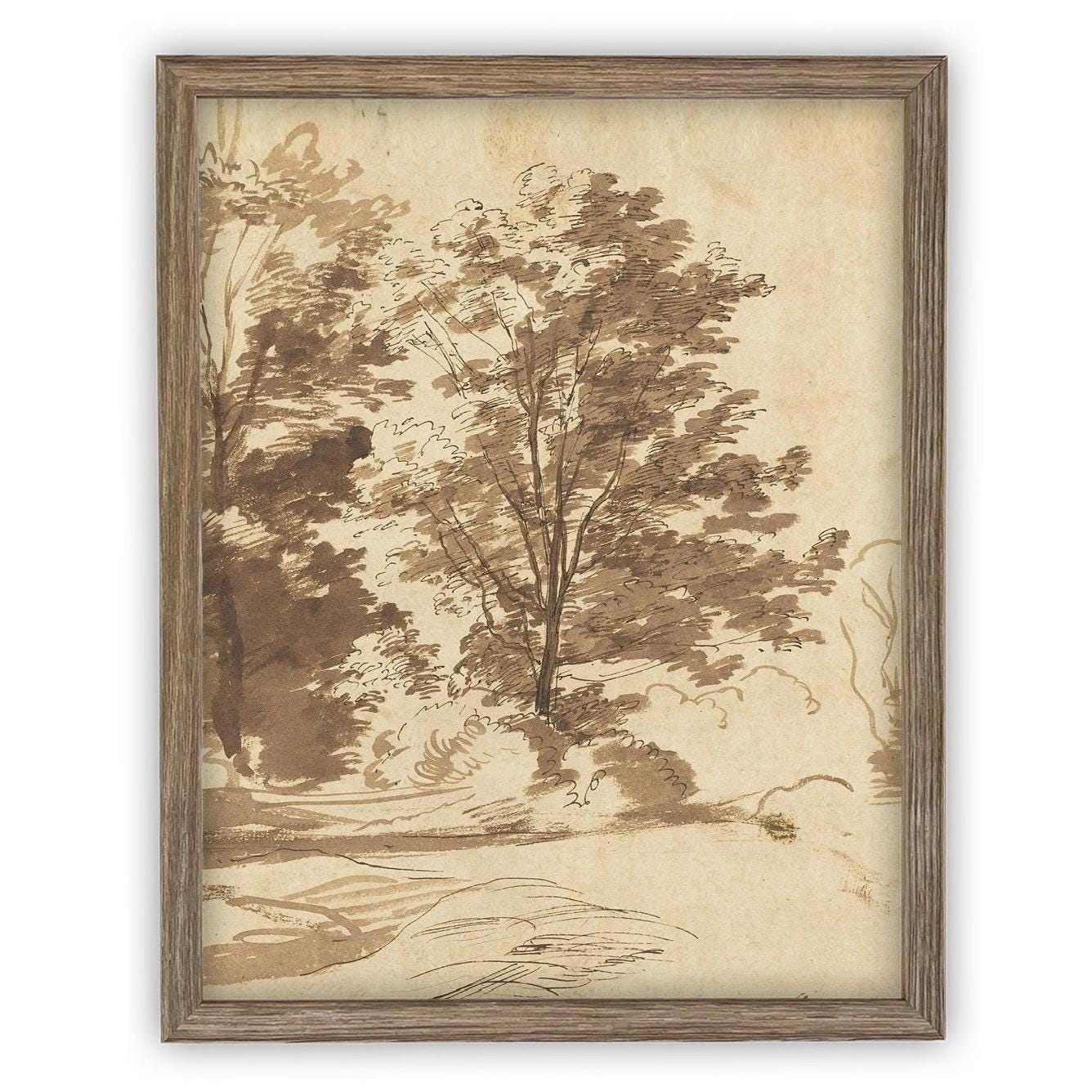 Vintage Framed Canvas Art // Framed Vintage Print // Vintage Painting // Botanical Sketch // Fall Tree//Farmhouse print //#BOT-167