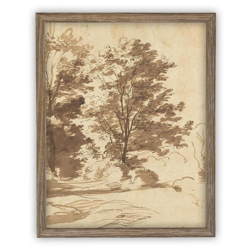 Vintage Framed Canvas Art // Framed Vintage Print // Vintage Painting // Botanical Sketch // Fall Tree//Farmhouse print //#BOT-167
