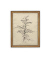 Vintage Framed Canvas Art // Framed Vintage Print // Vintage Painting // Botanical Tree Sketch // Neutral Minimalist print //#BOT-166