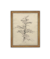 Vintage Framed Canvas Art // Framed Vintage Print // Vintage Painting // Botanical Tree Sketch // Neutral Minimalist print //#BOT-166