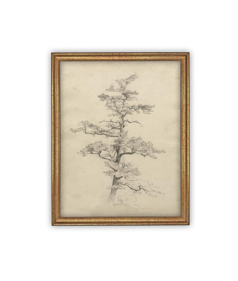 Vintage Framed Canvas Art // Framed Vintage Print // Vintage Painting // Botanical Tree Sketch // Neutral Minimalist print //#BOT-166