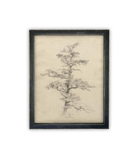 Vintage Framed Canvas Art // Framed Vintage Print // Vintage Painting // Botanical Tree Sketch // Neutral Minimalist print //#BOT-166