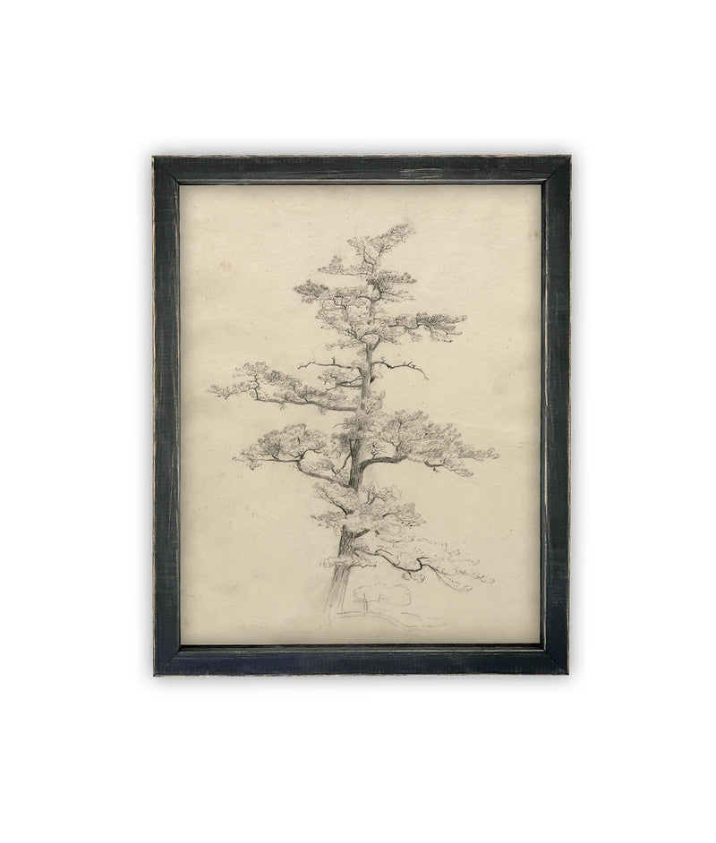 Vintage Framed Canvas Art // Framed Vintage Print // Vintage Painting // Botanical Tree Sketch // Neutral Minimalist print //#BOT-166