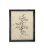Vintage Framed Canvas Art // Framed Vintage Print // Vintage Painting // Botanical Tree Sketch // Neutral Minimalist print //#BOT-166