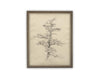 Vintage Framed Canvas Art // Framed Vintage Print // Vintage Painting // Botanical Tree Sketch // Neutral Minimalist print //#BOT-166