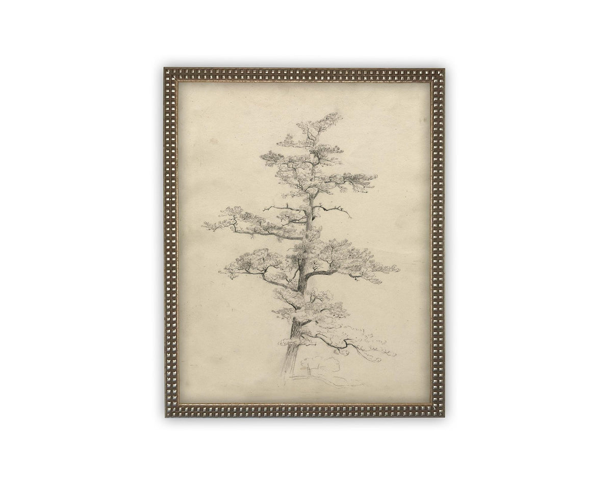 Vintage Framed Canvas Art // Framed Vintage Print // Vintage Painting // Botanical Tree Sketch // Neutral Minimalist print //#BOT-166