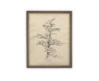 Vintage Framed Canvas Art // Framed Vintage Print // Vintage Painting // Botanical Tree Sketch // Neutral Minimalist print //#BOT-166