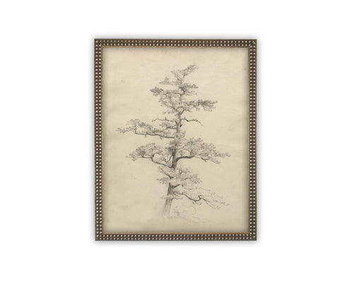 Vintage Framed Canvas Art // Framed Vintage Print // Vintage Painting // Botanical Tree Sketch // Neutral Minimalist print //#BOT-166