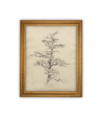Vintage Framed Canvas Art // Framed Vintage Print // Vintage Painting // Botanical Tree Sketch // Neutral Minimalist print //#BOT-166