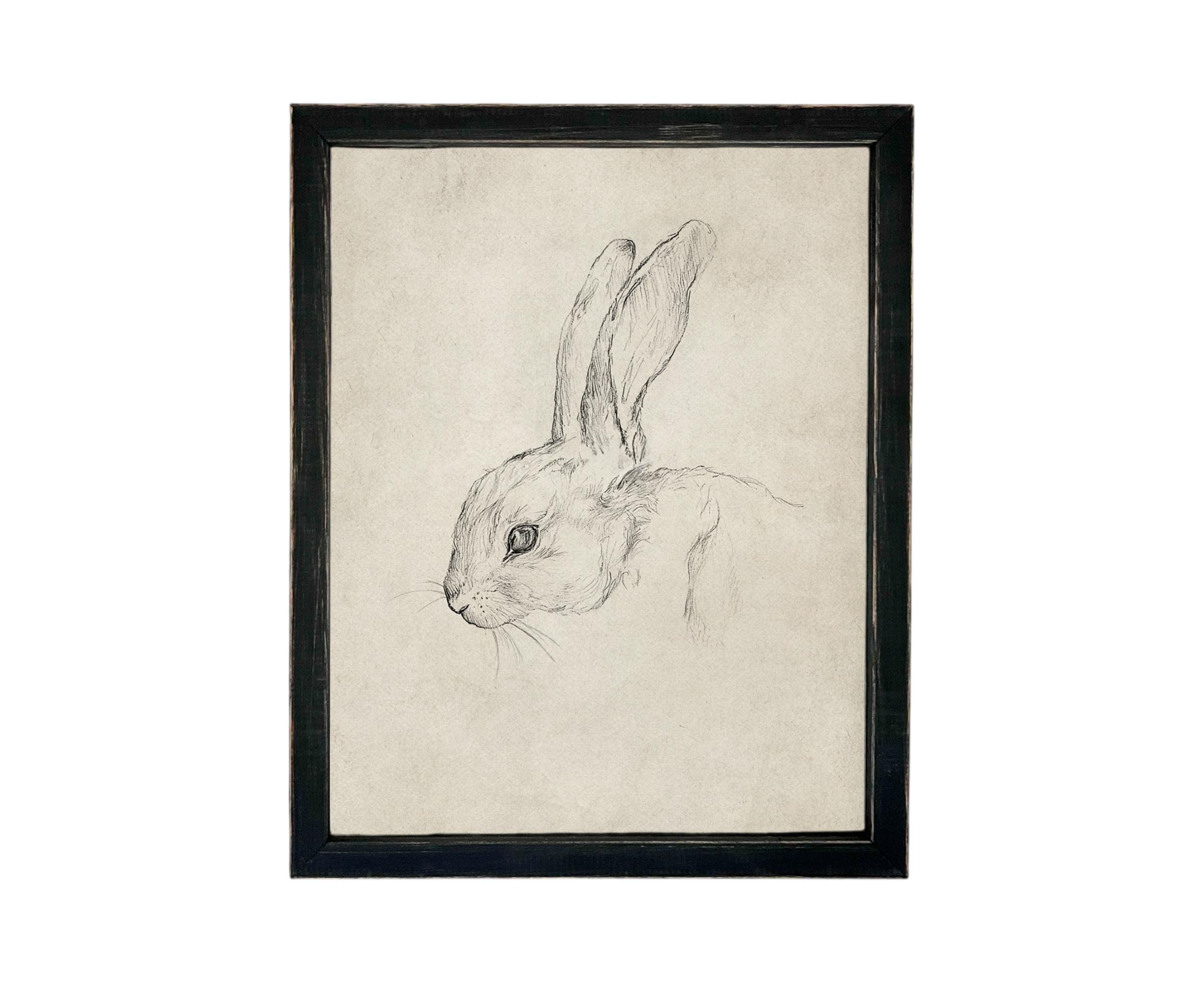 Vintage Framed Bunny Sketch Art: Easter Rabbit Canvas Print