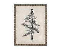 Vintage Framed Tree Sketch: Black and White Canvas Art Print
