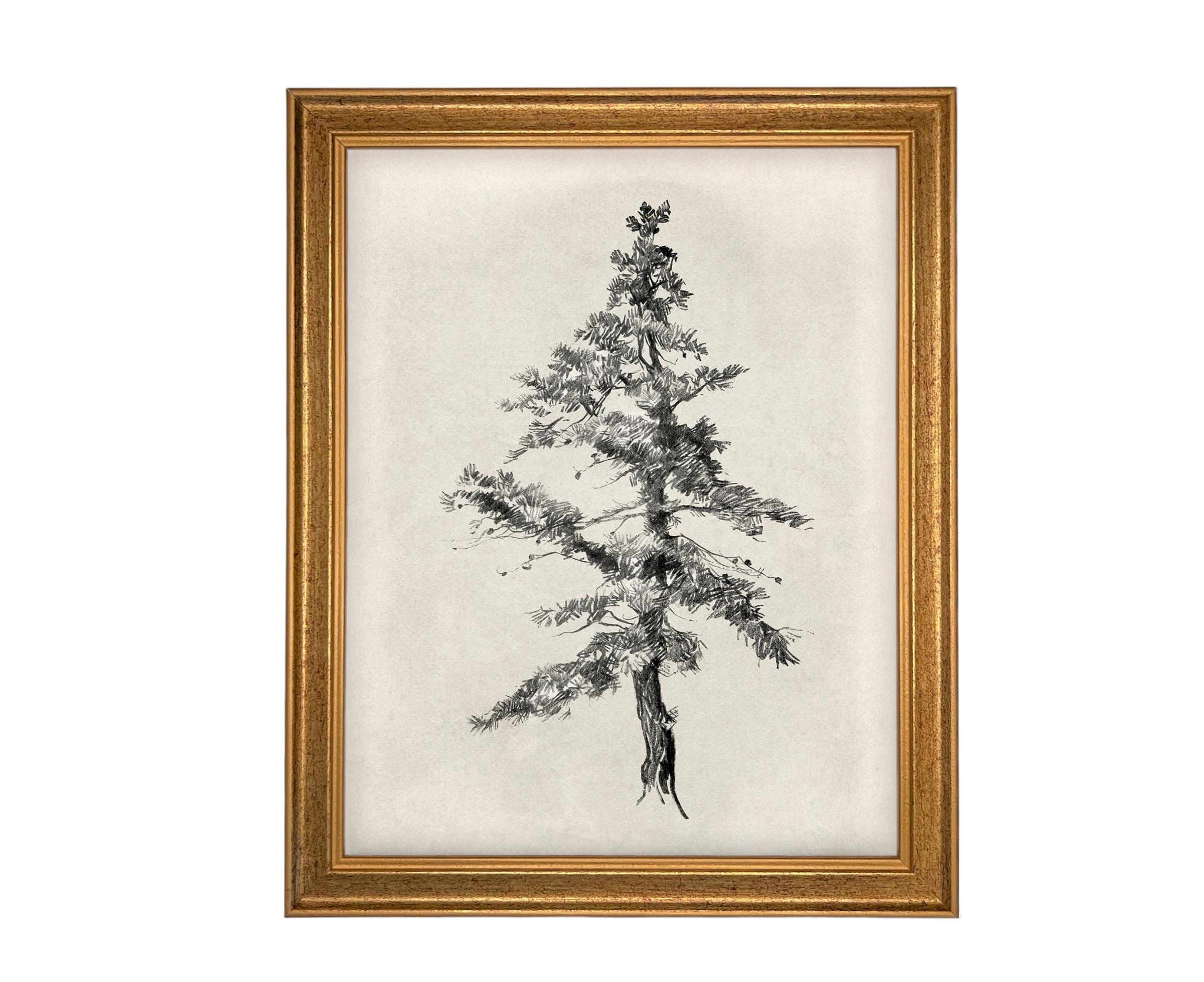 Vintage Framed Tree Sketch: Black and White Canvas Art Print