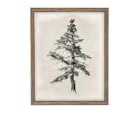 Vintage Framed Tree Sketch: Black and White Canvas Art Print