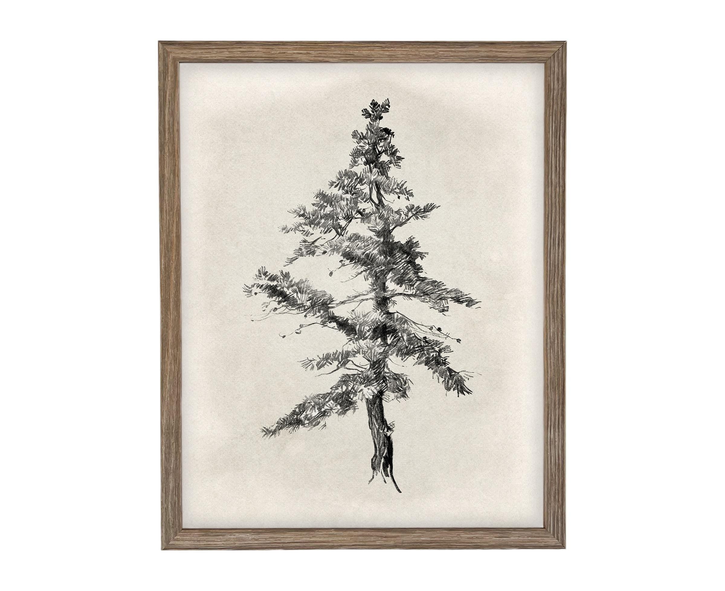 READY TO SHIP 16x20 Framed Tree Sketch: Black and White Canvas Art Print