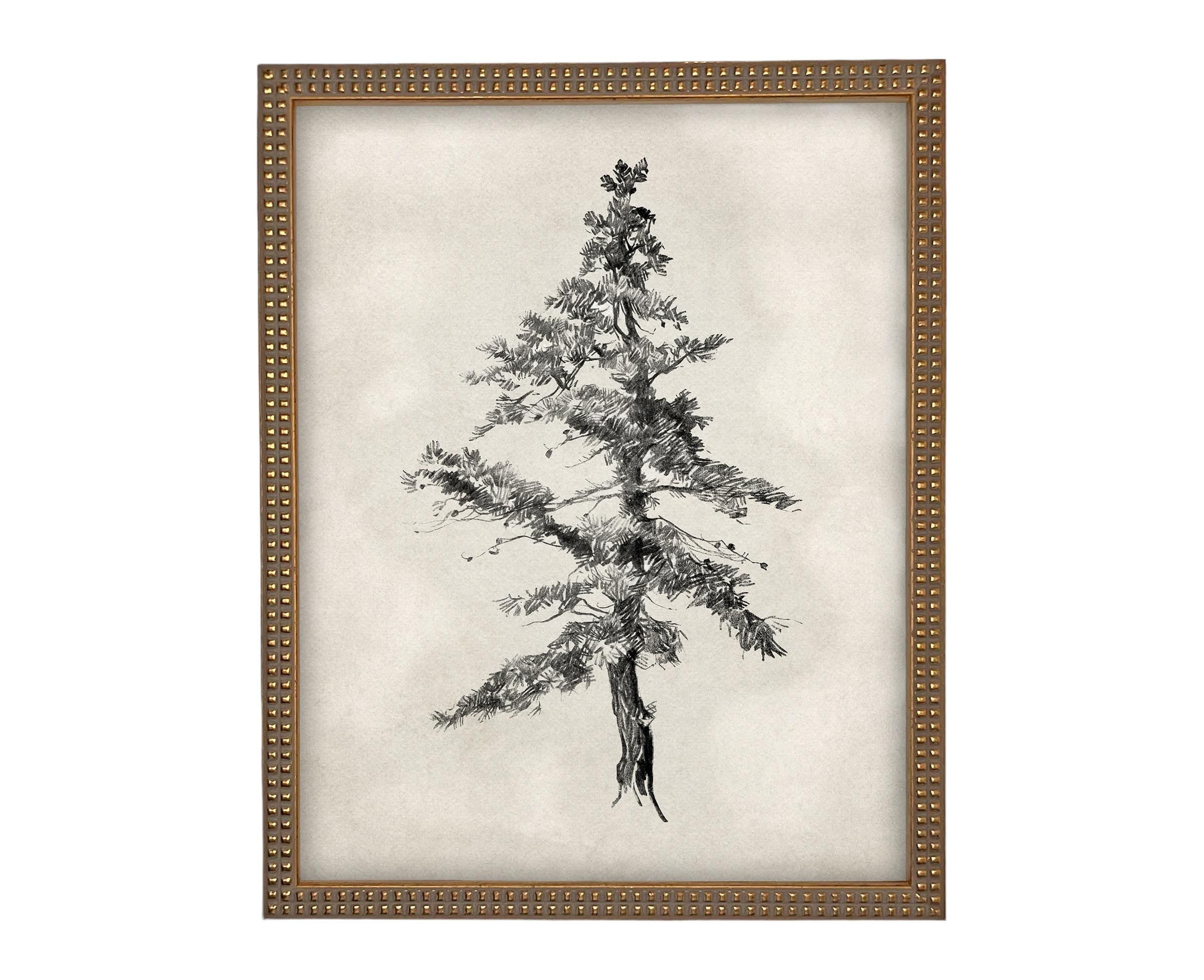 Vintage Framed Tree Sketch: Black and White Canvas Art Print