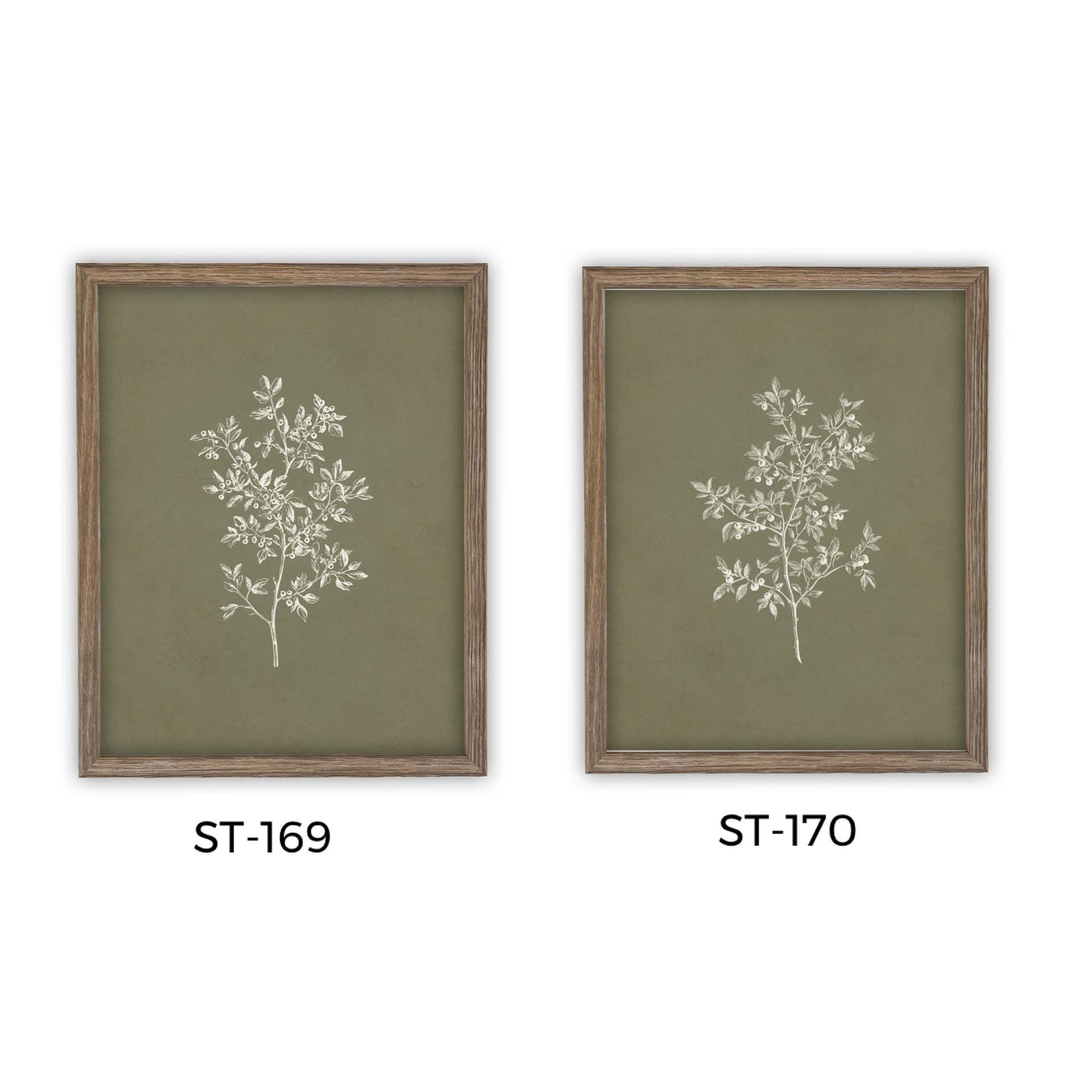 Framed Vintage Botanical Sketch Print: Farmhouse Canvas Art #ST-170