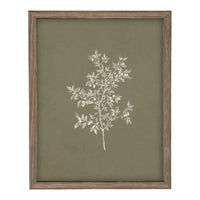 Framed Vintage Botanical Sketch Print: Farmhouse Canvas Art #ST-170