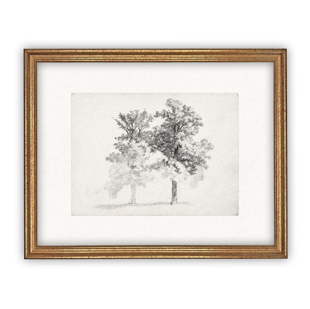 READY TO SHIP 16x20 Framed Canvas Print: Black and White Tree Sketch