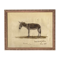 Framed Vintage Donkey Canvas Print: Farmhouse Art #A-207