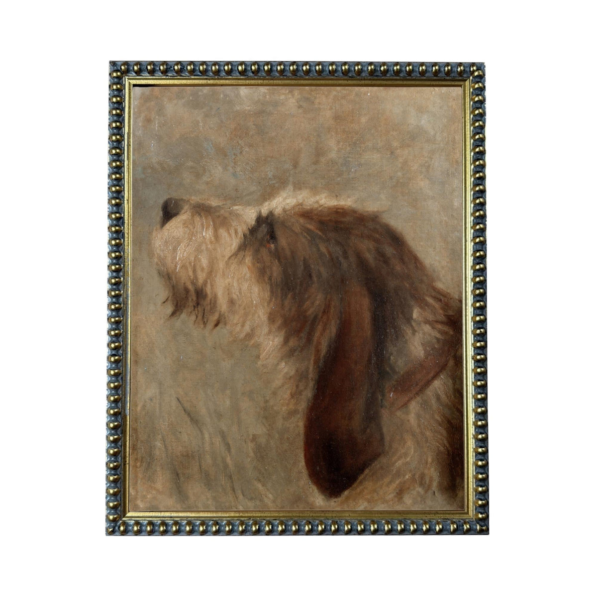 Framed Vintage Dog Canvas Print: Otterhound Dog Painting #A-208