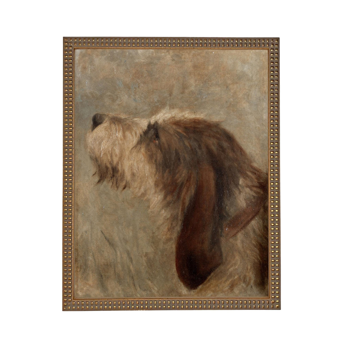 Framed Vintage Dog Canvas Print: Otterhound Dog Painting #A-208