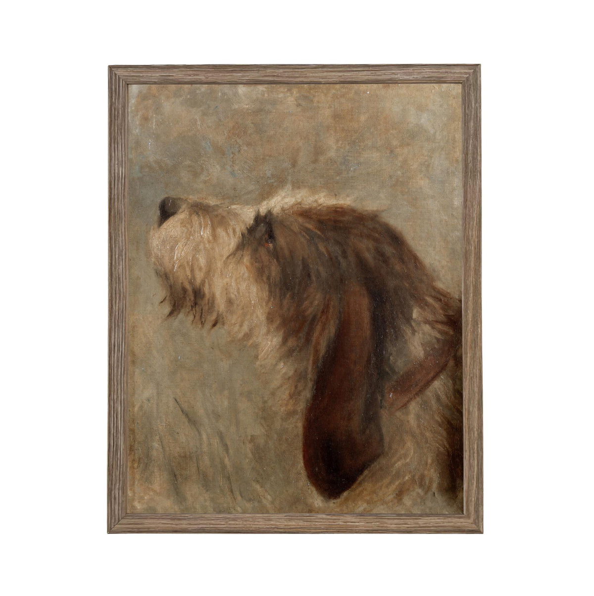 Framed Vintage Dog Canvas Print: Otterhound Dog Painting #A-208