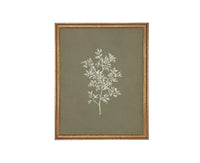 Vintage Framed Botanical Sketch #BOT-169