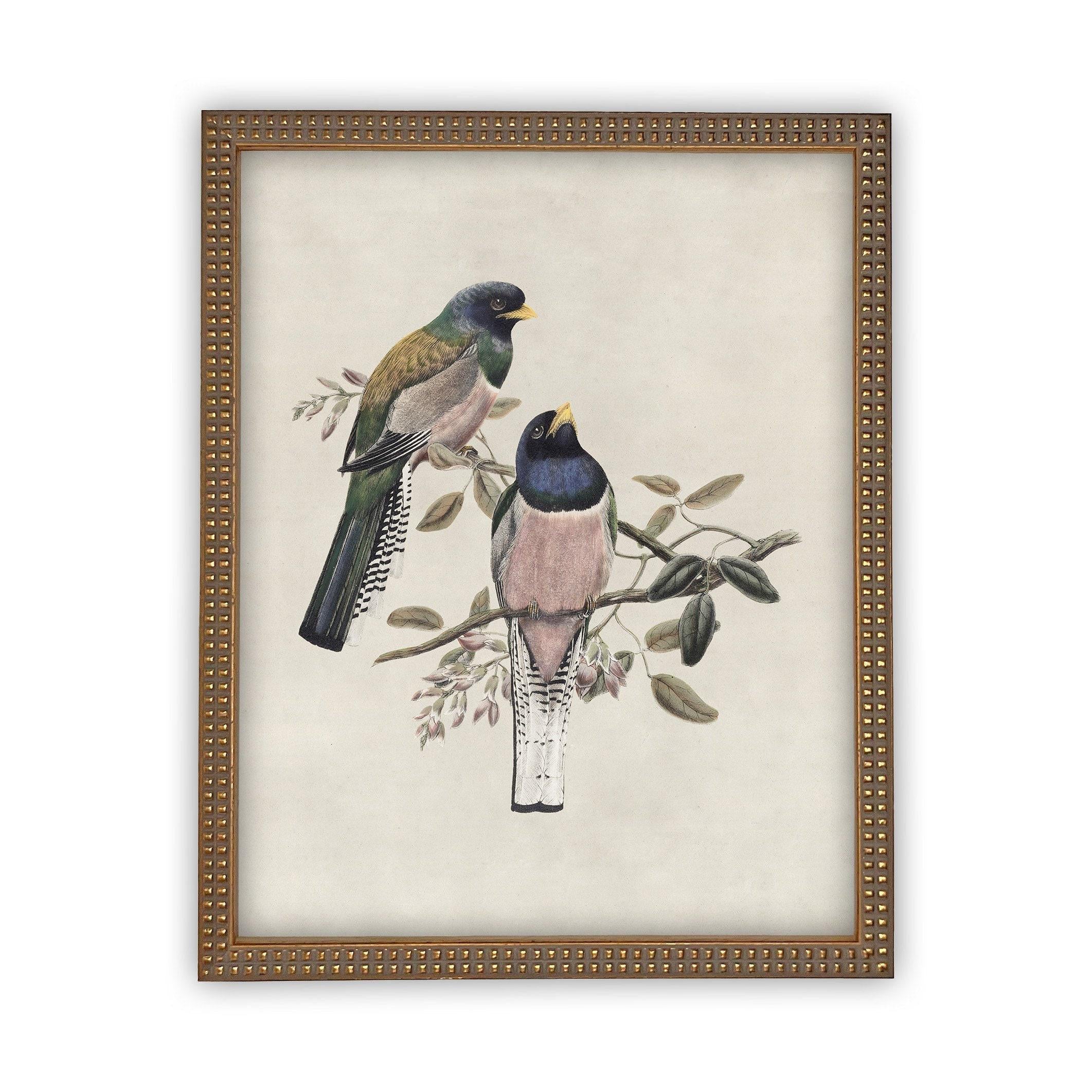 Framed Canvas Art #A-103