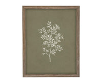 Vintage Framed Botanical Sketch #BOT-169