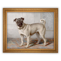 Framed Canvas Art #A-114